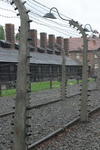 Mehrfacher Stacheldrahtzaun im Konzentrationslager Auschwitz